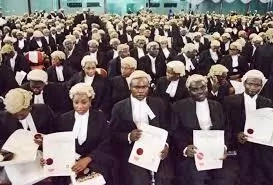 Lawyers in Nigeria and their Different Areas of Specialization