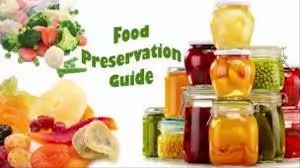 Practical Steps to Food Preservation