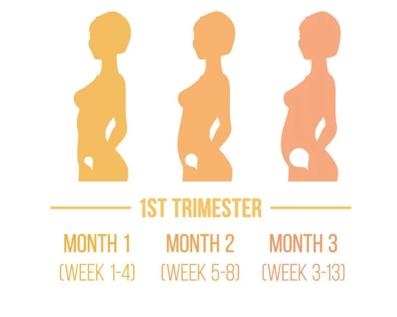 10-body-changes-in-first-trimester-of-pregnancy-proguide